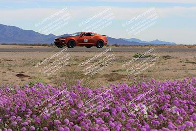 media/Jan-08-2023-SCCA SD (Sun) [[8f6a5b9391]]/Advanced Group/Session 2 (Short Straight)/